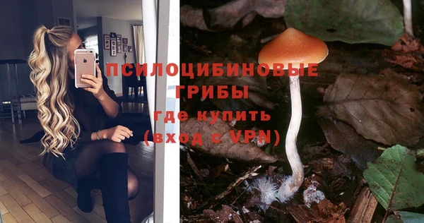 прущая мука Нягань