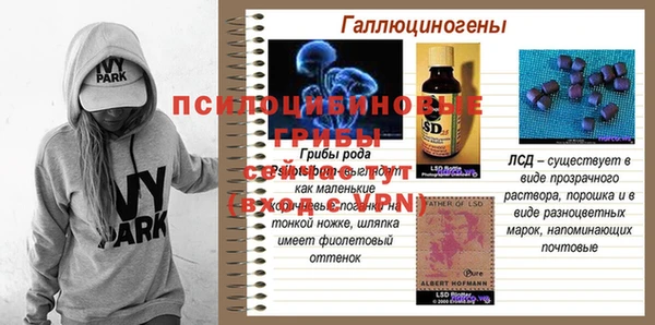 соль курить ск Няндома