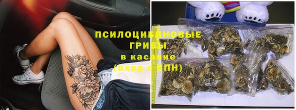 соль курить ск Няндома