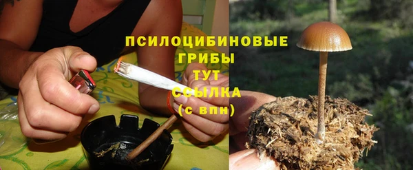 соль курить ск Няндома