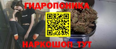 твердый Гусев