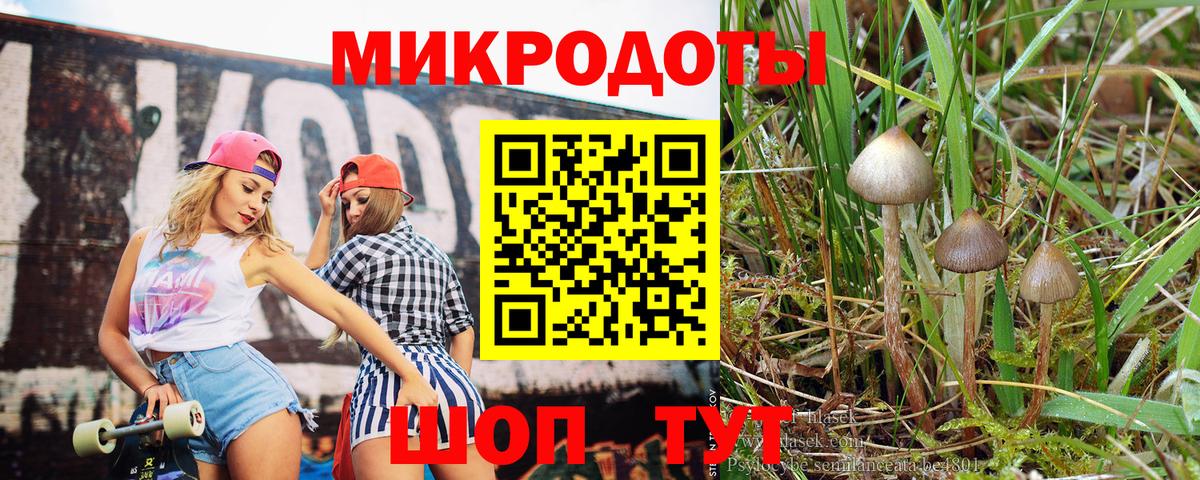 Чистополь  Галлюциногенные грибы Cubensis  что такое   Вход с VPN  Псилоцибиновые грибы Psilocybine cubensis 