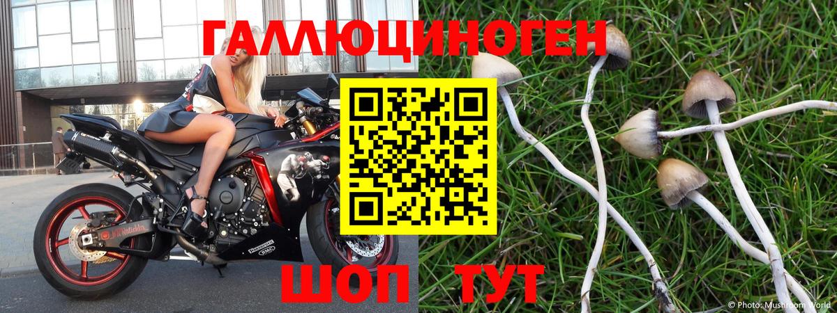 Галлюциногенные грибы Magic Shrooms Чистополь